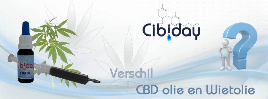 Verschil CBD olie en Wietolie